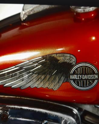 Harley Davidson serbatoio 