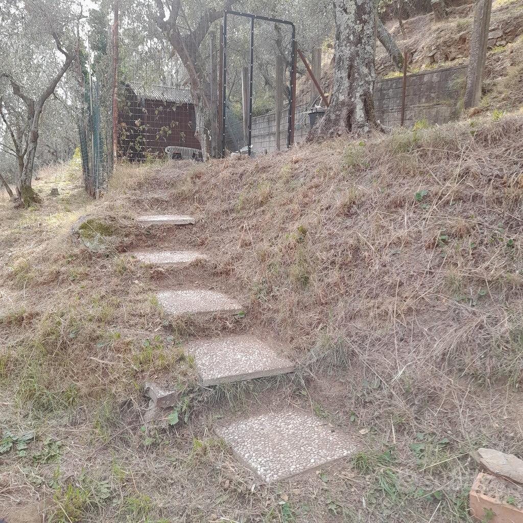oliveta - Vista 4