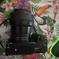 Fotocamera sony+gimbal+sigma