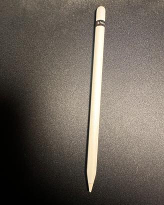 Apple Pencil 1a Gen | Come Nuova + Accessori