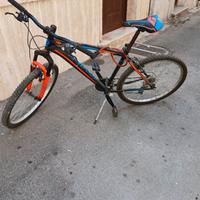 bici torpado