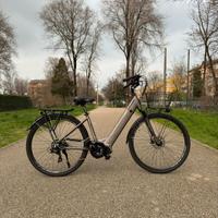 Bicicletta BOTTECCHIA BE17 motore oli