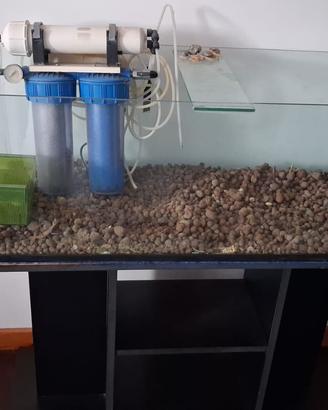 vasca acquario con supporto +filtro acqua omaggio