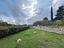 Immagine 23