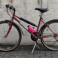 Bicicletta mountain bike