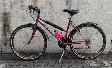 Bicicletta mountain bike