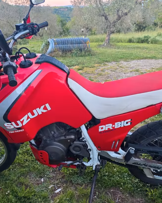 Suzuki DR 750 Big