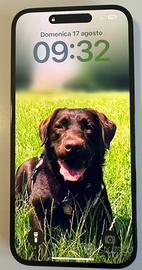 IPhone 14 Pro Max 128GB Nero  occasion +Accessori