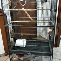 Gabbia per volatili