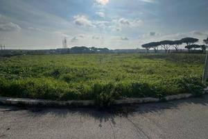 MQ 15.000 SANTA PALOMBA (RM) FRONTE VIA ARDEATINA