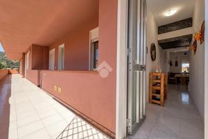 MONOLOCALE A POLLINA