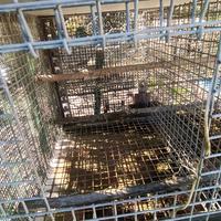 Gabbie per animali (uccelli)