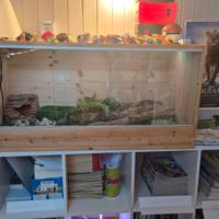 Terrario per gechi o rettili 