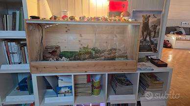 Terrario per gechi o rettili 