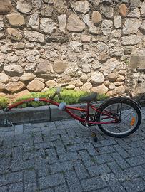 Cammellino bici traino