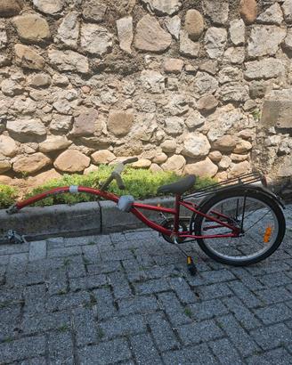 Cammellino bici traino