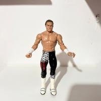 WWE Action Figures Dolph Ziggler