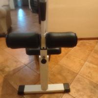 panca addominali proffessionale 