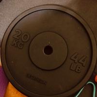 DISCO IN GHISA 20 KG 