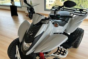 Quad ATV DINLI DL350 - come nuovo