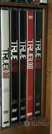 5 dvd True Blood