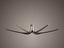 Immagine 14