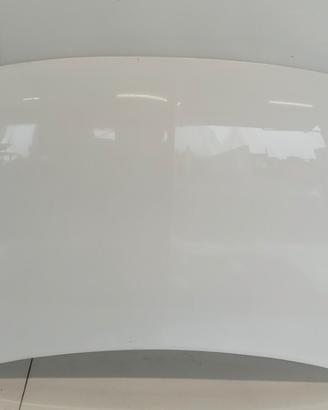 COFANO ANTERIORE OPEL Corsa F 2019> usato