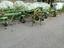 Immagine 2