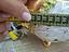 Immagine 6