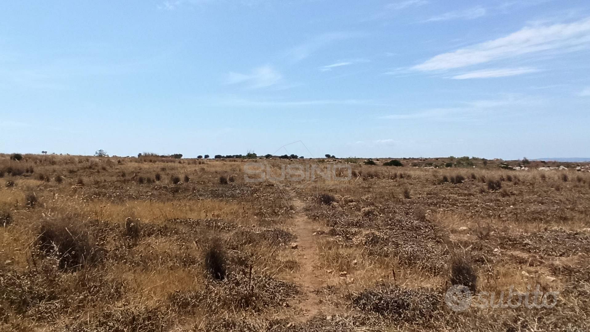 Terreno Agricolo - Pachino - Altro