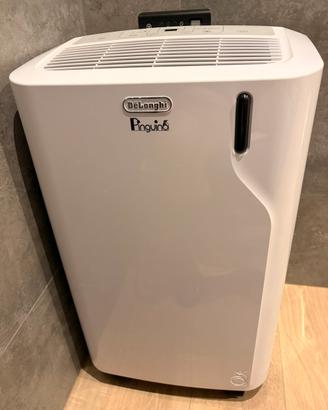 Pinguino de longhi