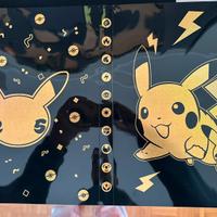 Raccoglitore carte pokemon