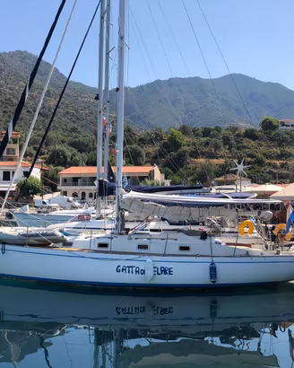 Barca a vela  Modello ALPA 11,50.