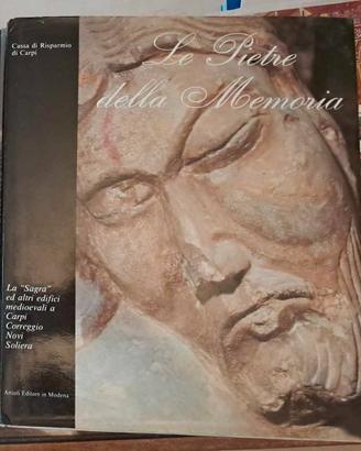 Carpi - Secchia Sagra Decorazione - Modena