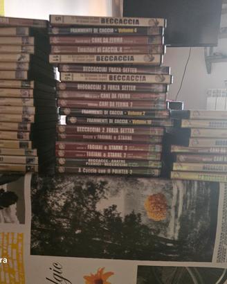 Collezione DVD Caccia alla beccaccia 