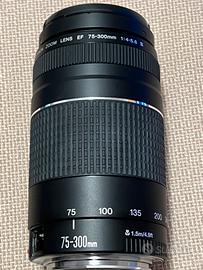Obiettivo fotografico Canon EF 75-300