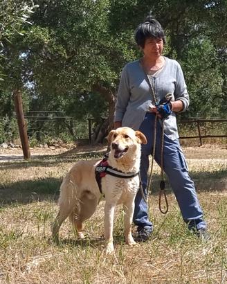 Ciabatta una vita sprecata in gabbia