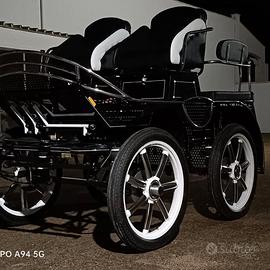 Carrozza quattro posti