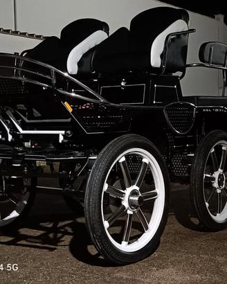 Carrozza quattro posti
