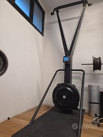Skierg kingsgym