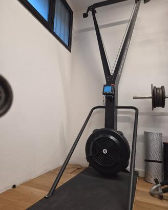 Skierg kingsgym