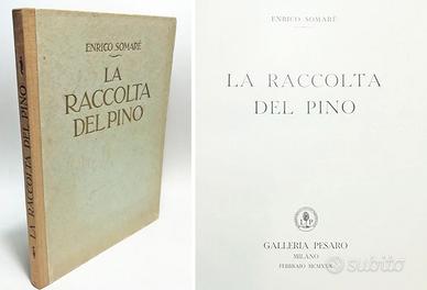 LA RACCOLTA DEL PINO - SOMARÈ ENRICO 1930
