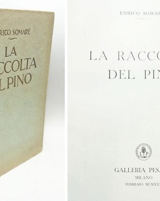 LA RACCOLTA DEL PINO - SOMARÈ ENRICO 1930