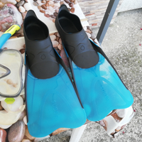 Pinne e maschera sub