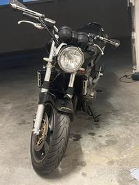 Hornet 900
