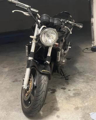 Hornet 900