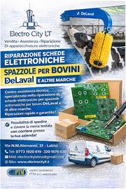 Scheda Elettronica Spazzole Bovini