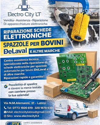 Scheda Elettronica Spazzole Bovini