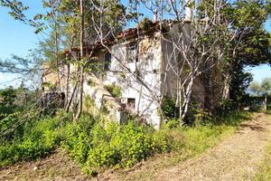 CASA COLONICA con DEPANDANCE