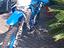 Immagine 2